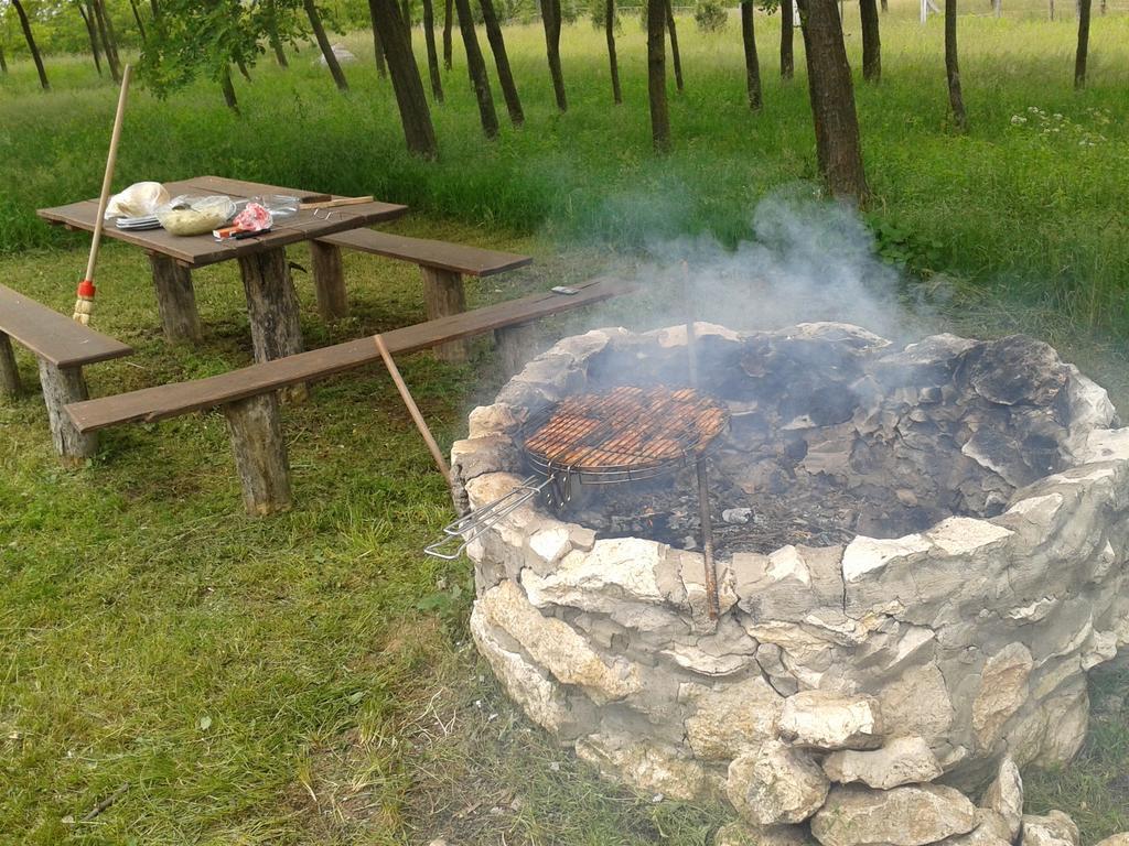 Vadaspuszta Vendeghaz Csatka Exteriör bild